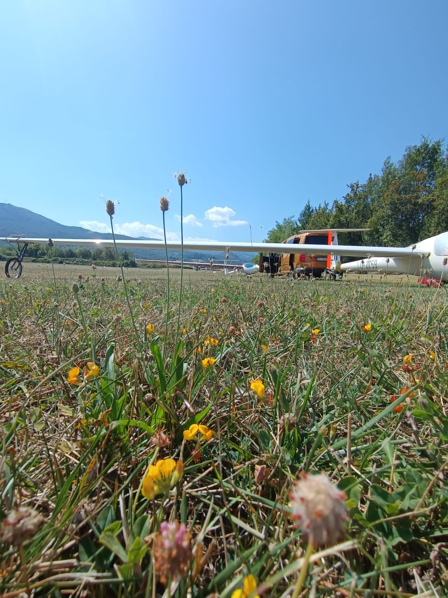 36dc8536 4f6c 4a1d 86e8 471963e85565