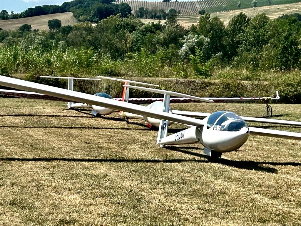 B9d44fc8 4bbe 439a 9860 32777395fd94