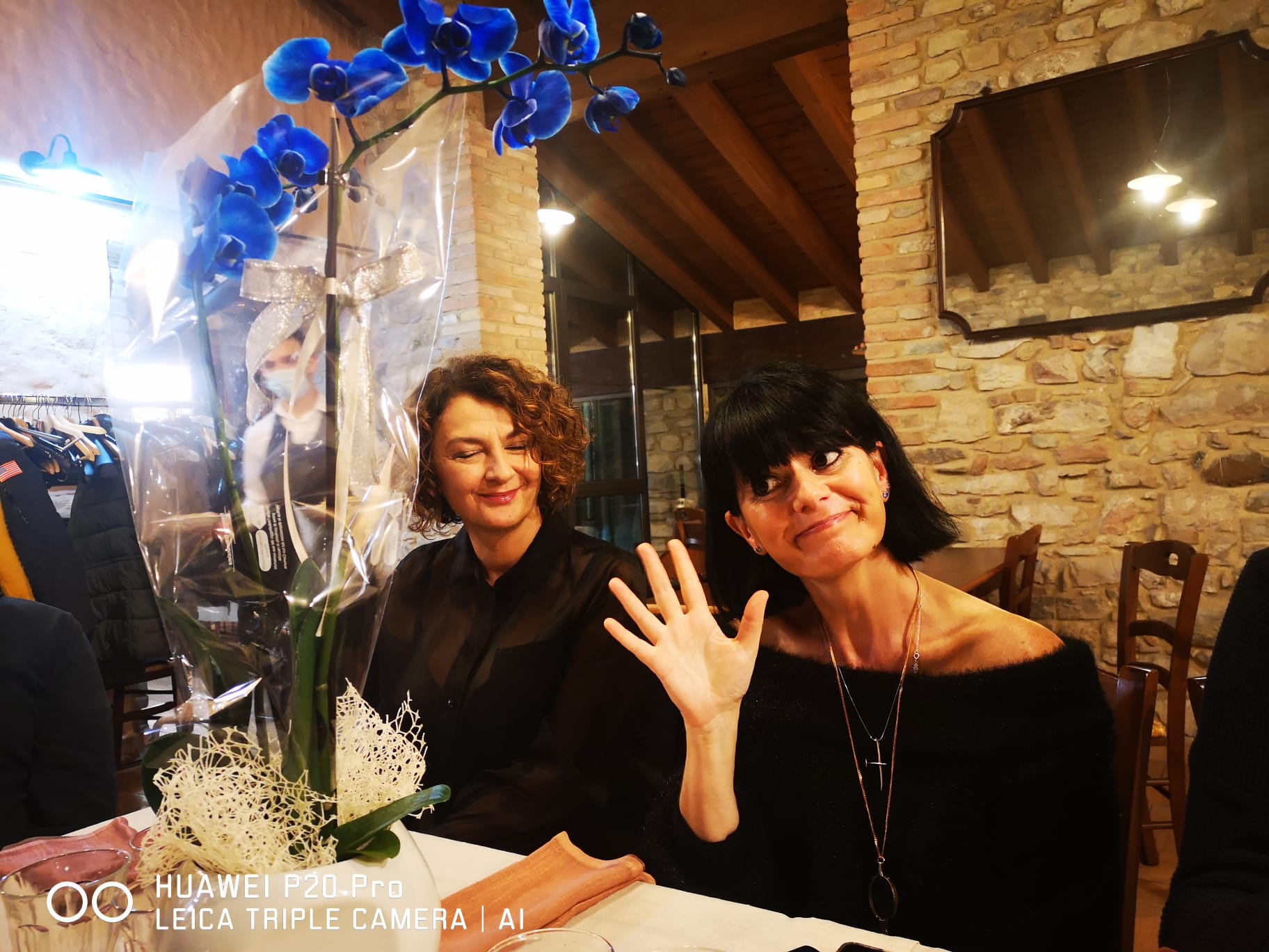 413e85bb 6131 401d 8213 0eaf683aa933