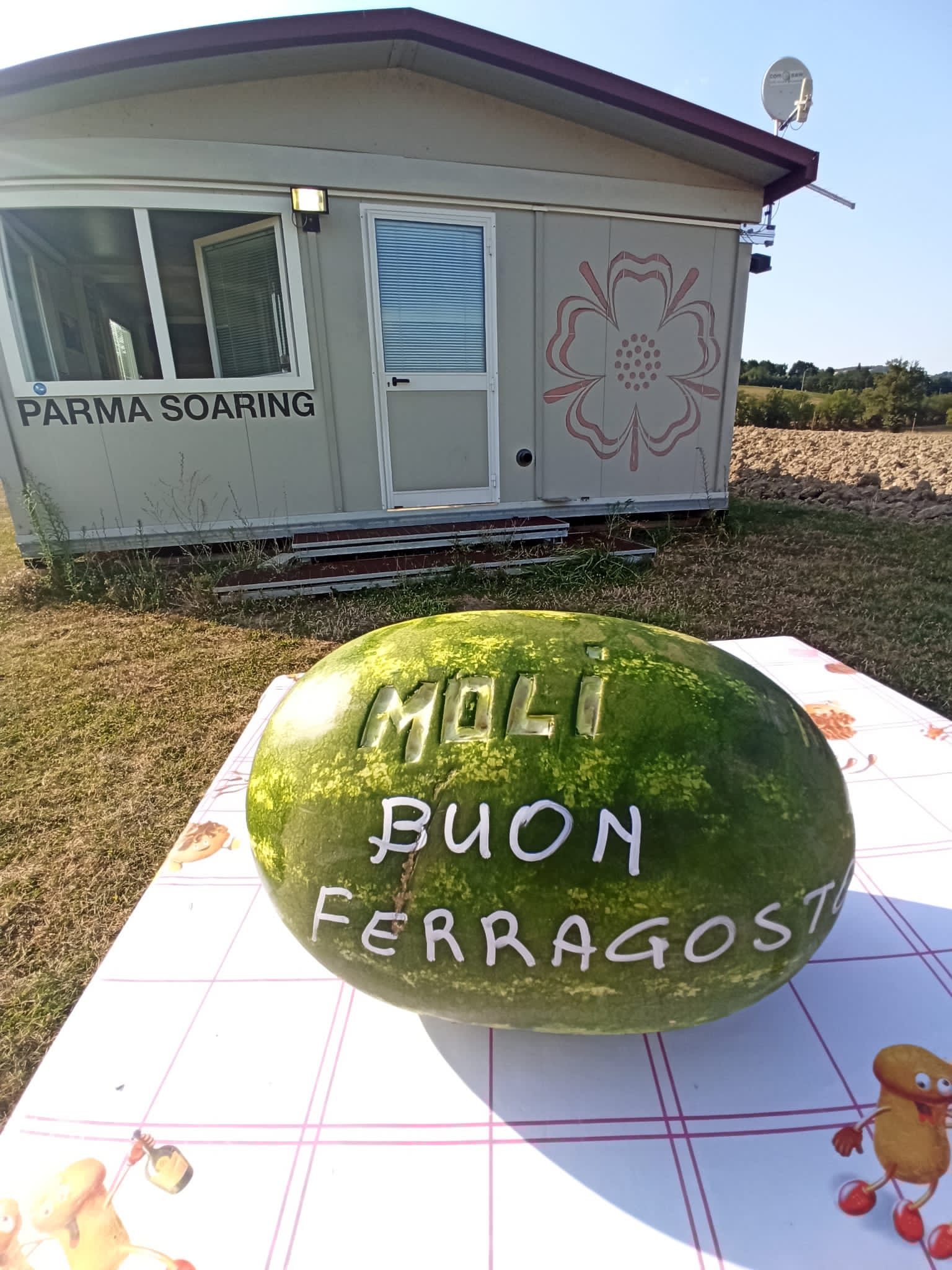 4e982bc8 33c2 4ba4 92d5 c6562f17f49f