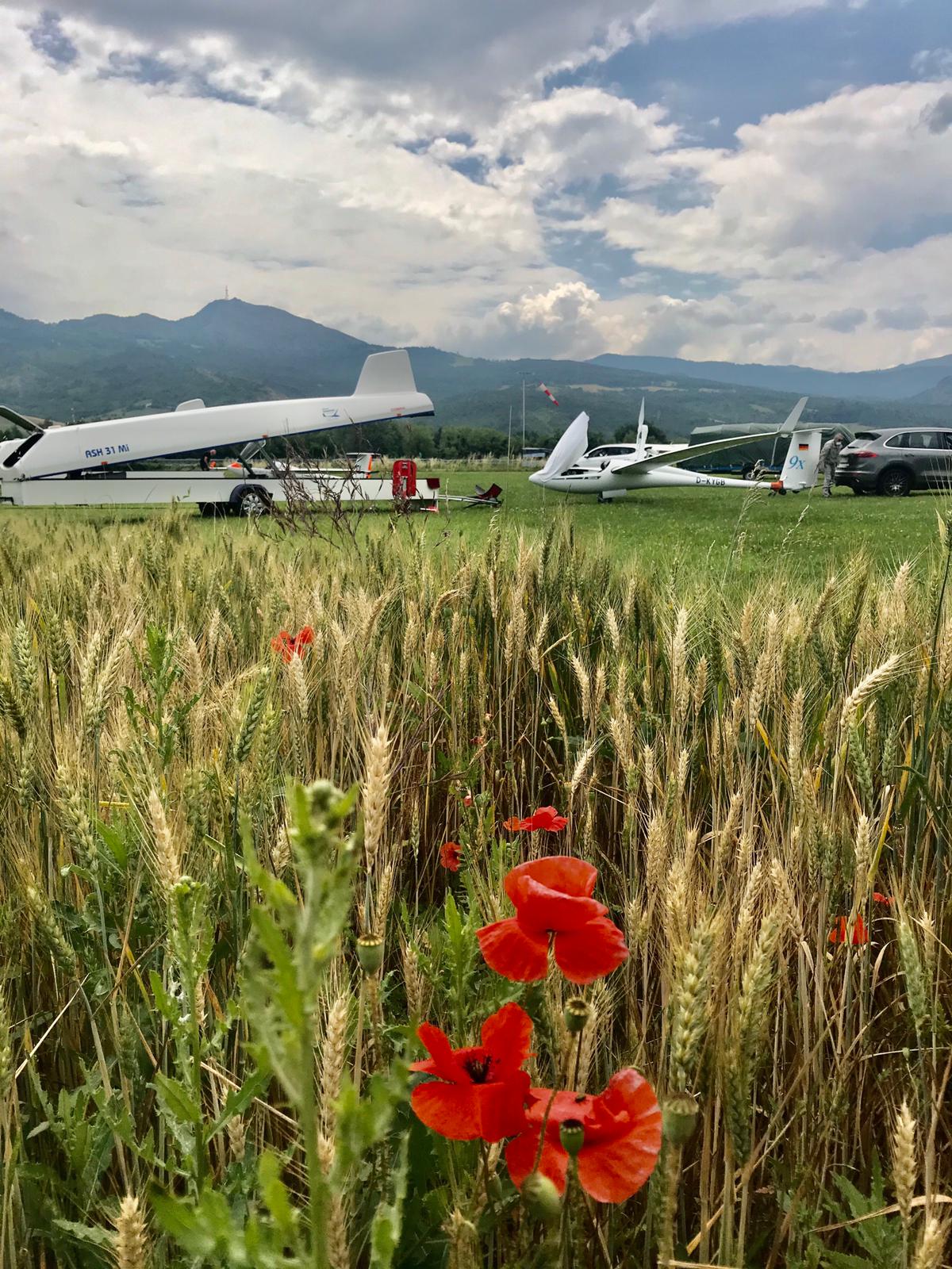 B771c3a8 7986 418e 85d4 4da2bc7e9010