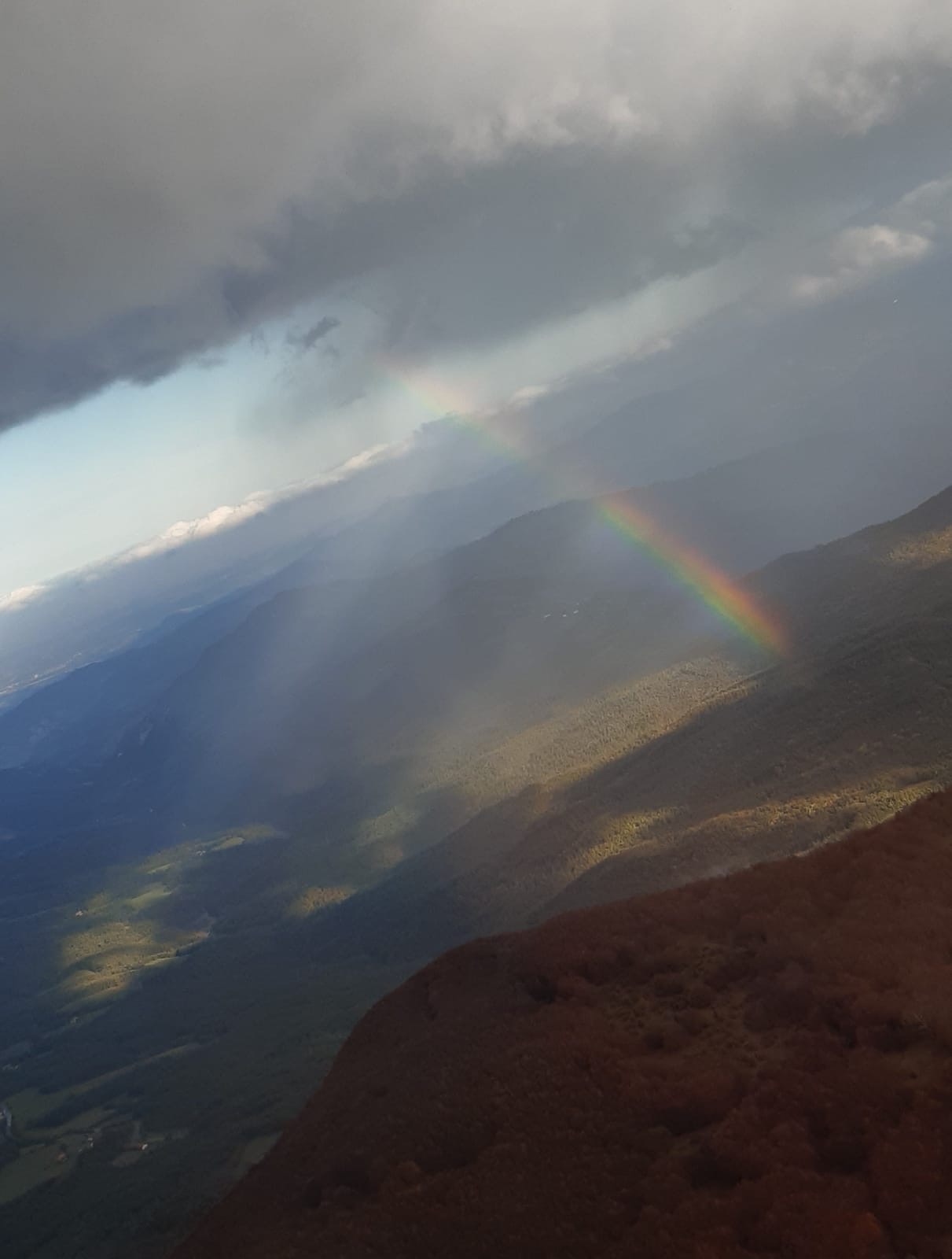 B922ff38 1bd0 40c9 92e1 d281cc8b10bc