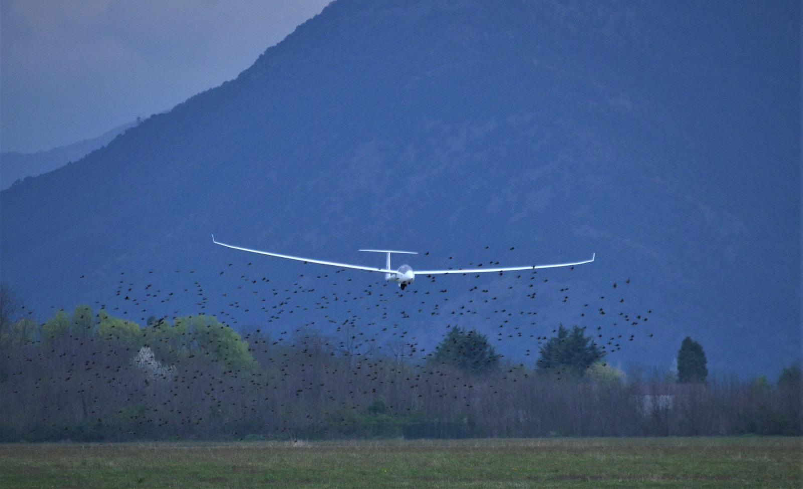 TORINO UNICA 2019 VITO E STEFANO QUINTI
